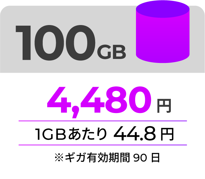 100GB 4,480円 1GBあたり44.8円 ギガ有効期限90日